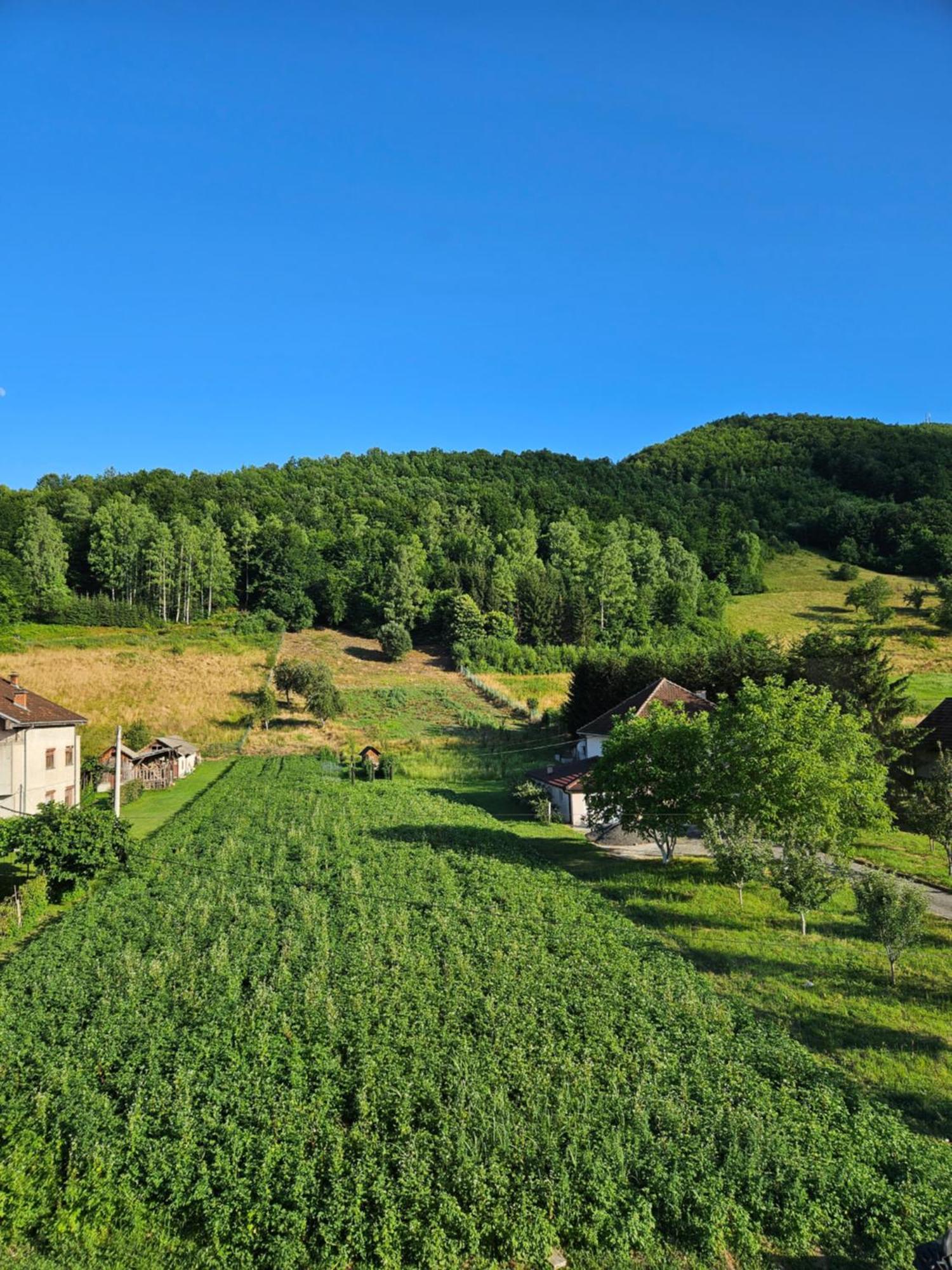 Apartmani Spa Bjelasica Bijelo Polje Exterior foto